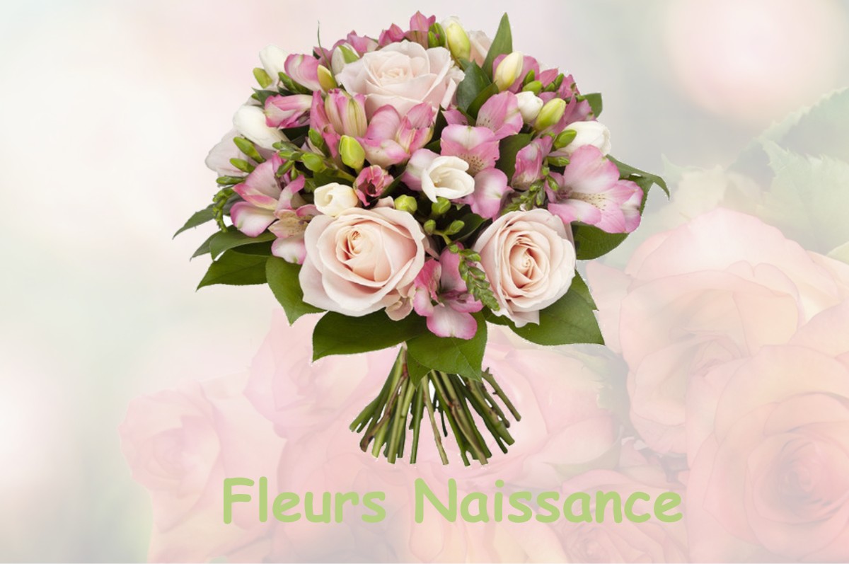 fleurs naissance NESPLOY