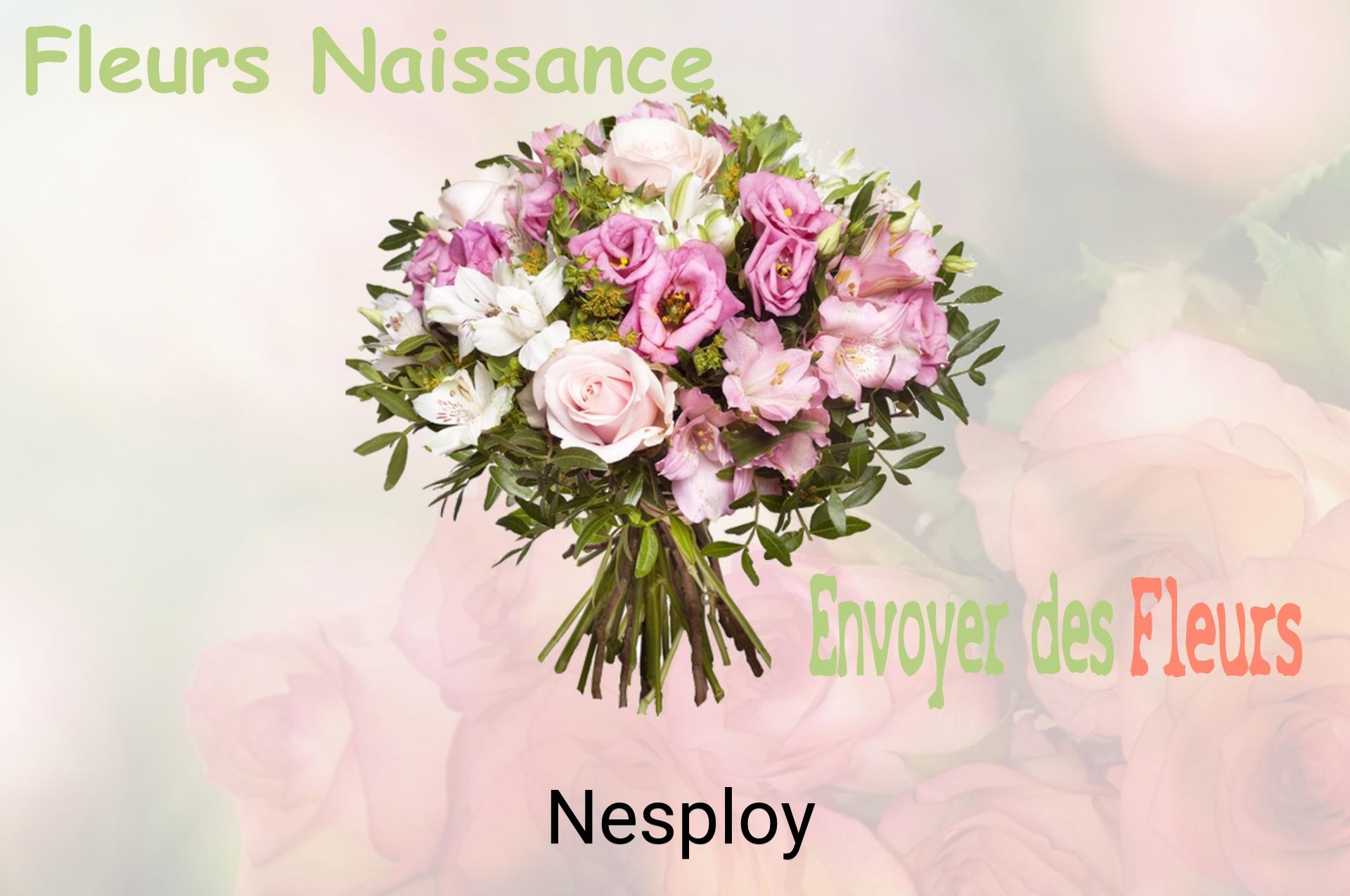 Bouquet de fleurs de naissance livré à Nesploy