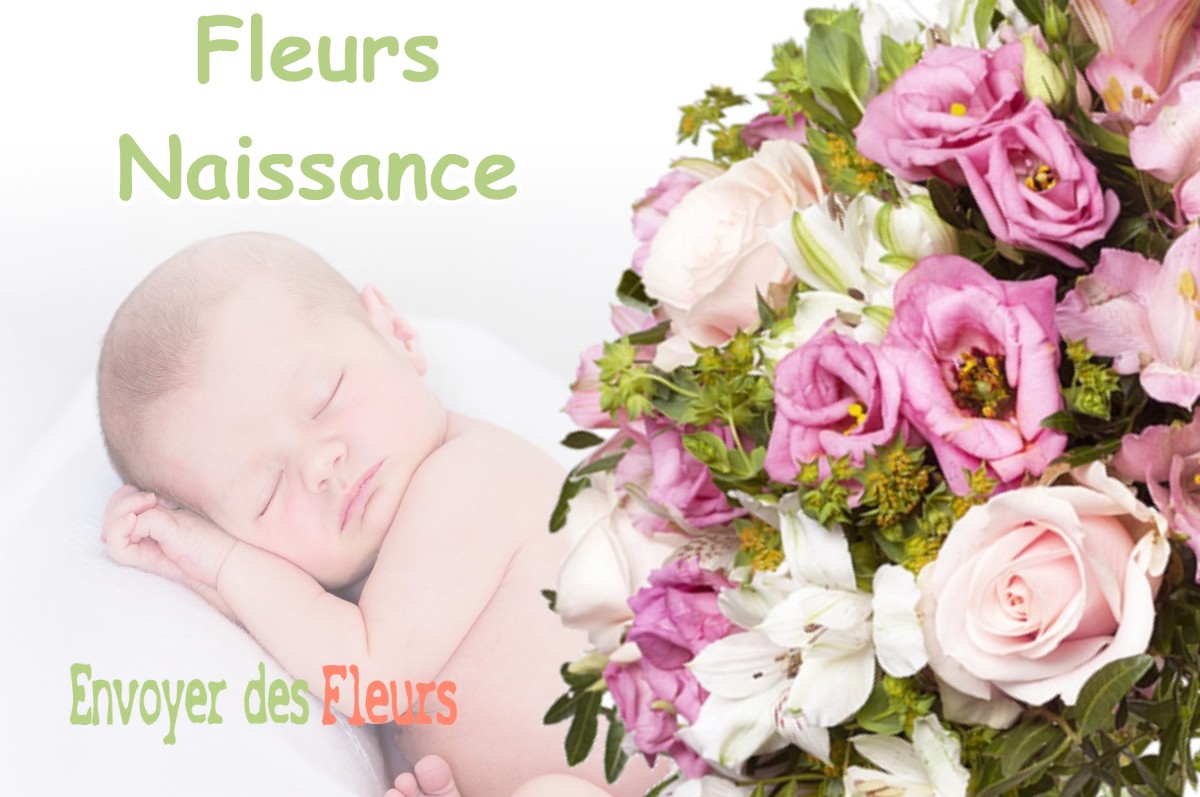 lIVRAISON FLEURS NAISSANCE à NESPLOY