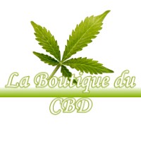 LA BOUTIQUE DU CBD NESPLOY 