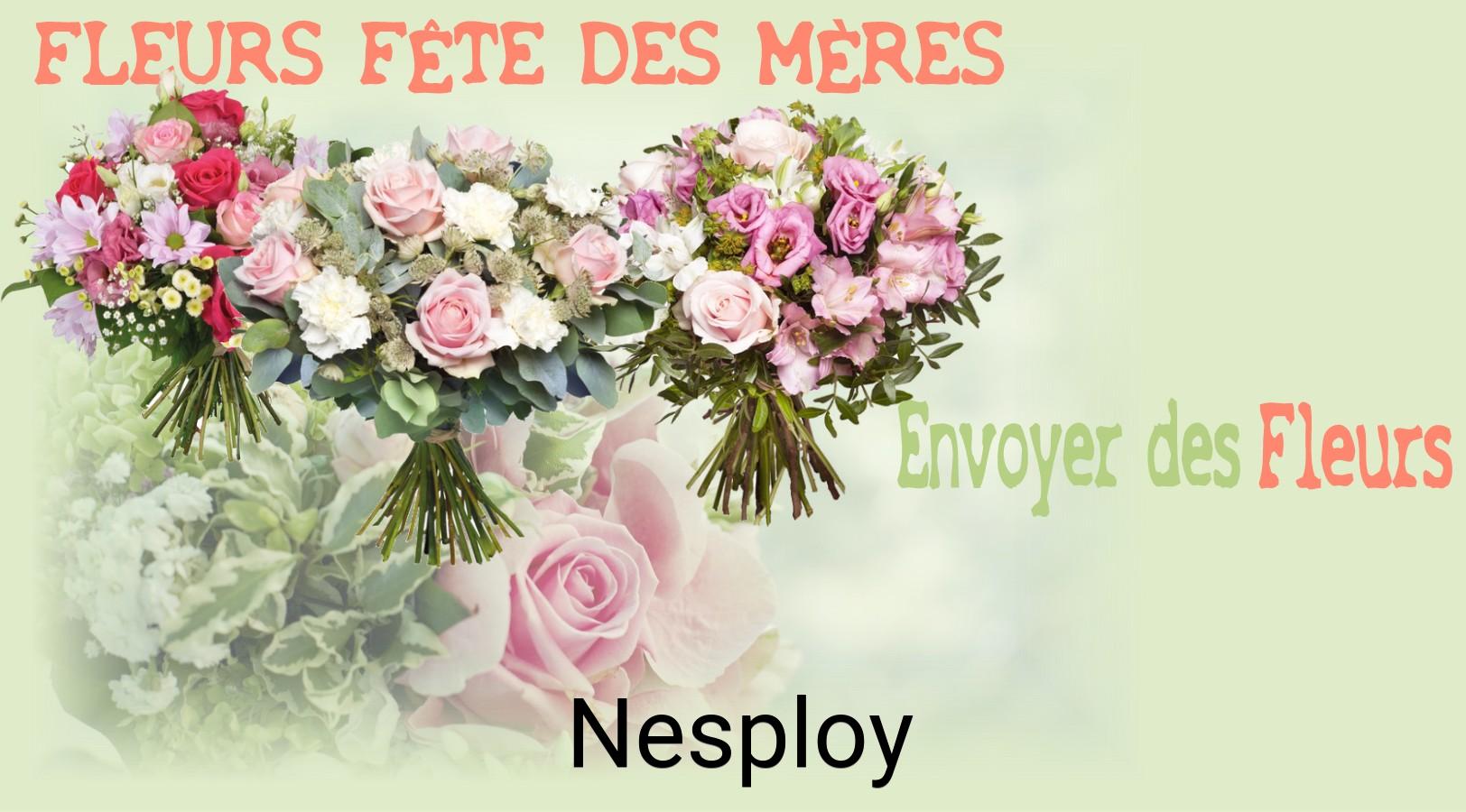 Bouquet de Fête des Mères livré à Nesploy